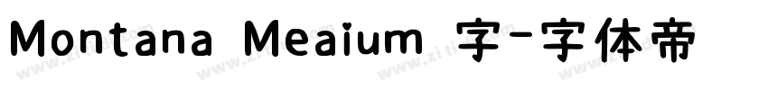 Montana Meaium 字字体转换